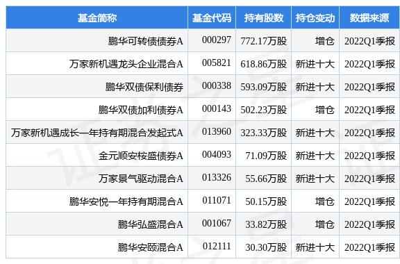 海达股份最新动态更新，掌握最新消息