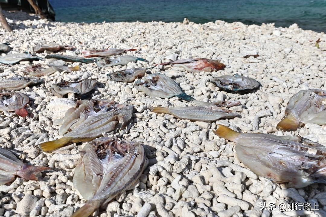 探索自然美景 第12页