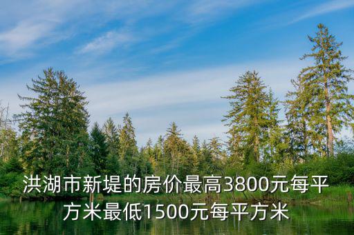 湖北洪湖最新房价解析，观点阐述与深度探析