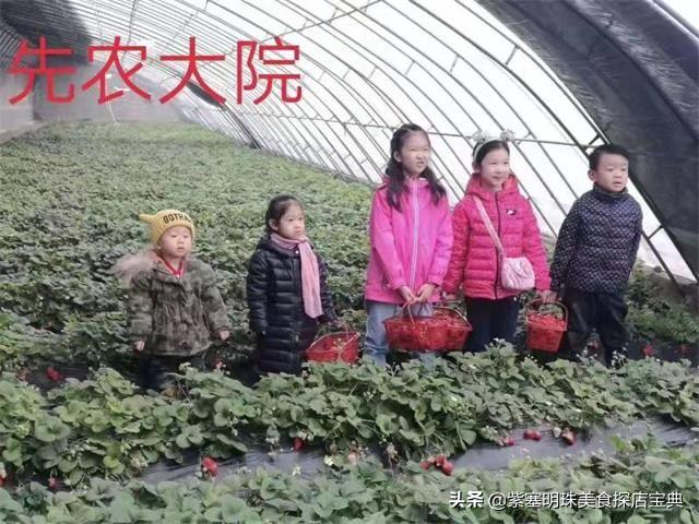 武清陈咀镇未来繁荣蓝图，最新规划揭秘