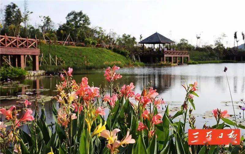 青浦练塘规划最新动态，探索自然美景，寻求内心平和宁静的旅程