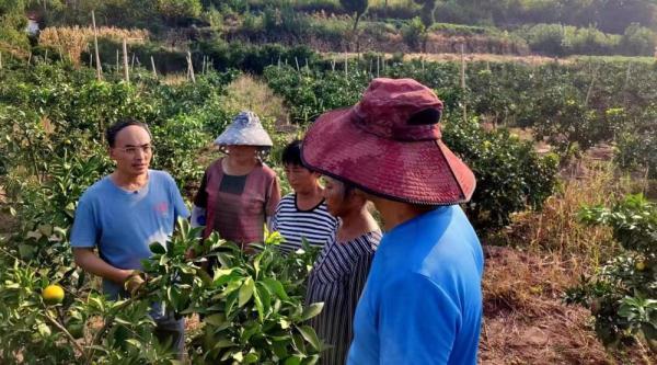 乐至宝石水库最新动态更新