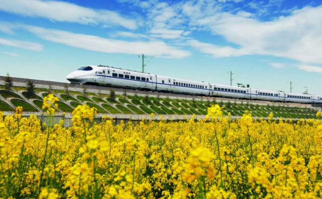 兰新高铁最新动态，探索自然美景，寻找内心宁静之旅