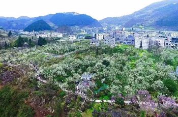 桐梓丁月高最新动态更新