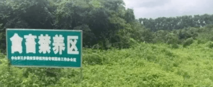 铁岭禁养区最新动态更新，最新消息与规定