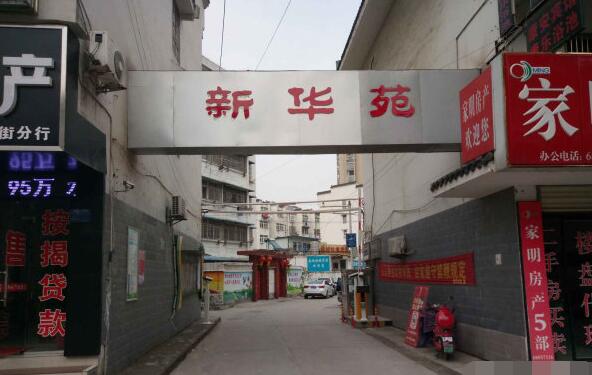 最新动态更新 第15页