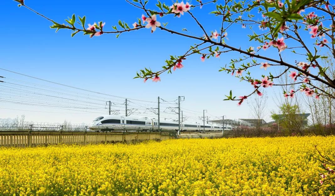 夏连翘墨沉篙，变化中的学习之旅，自信与成就感的源泉最新章节更新通知