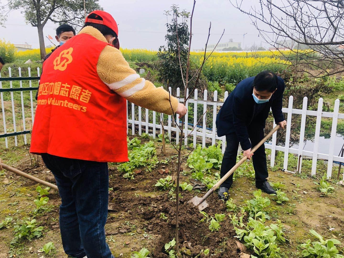 安庆白泽湖乡最新规划揭秘，开启华丽发展篇章！