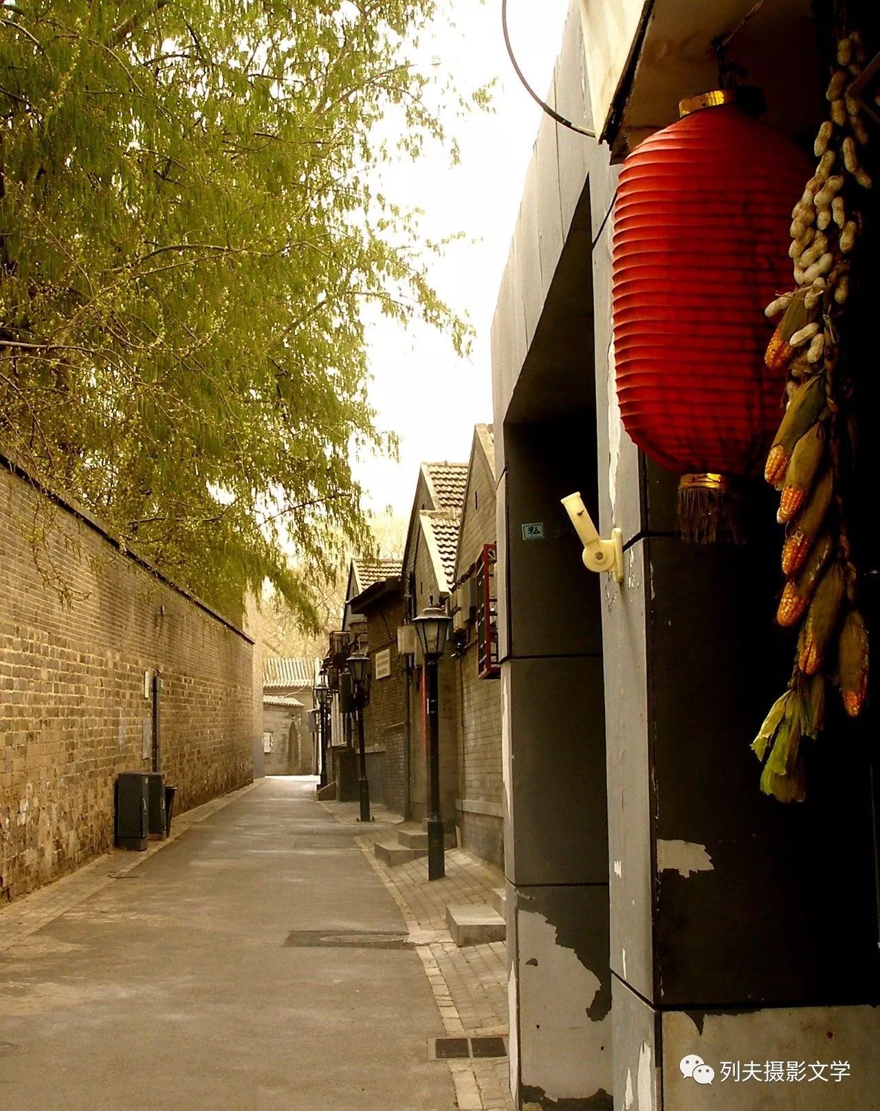 小巷深处的独特风味，创新风味探索之旅