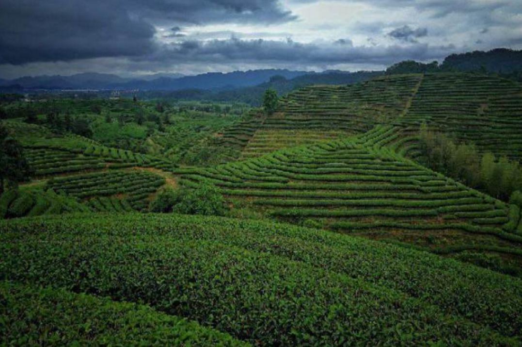 探索自然美景之旅，追寻内心平和的旅行最新简介