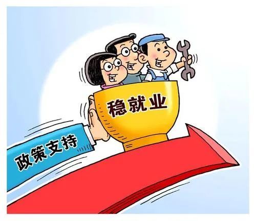 常德最新介绍，日常趣事与情感纽带展现温馨日常