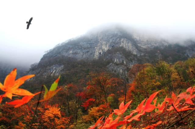 探索自然美景之旅，寻找内心的平和宁静，最新官宣启程