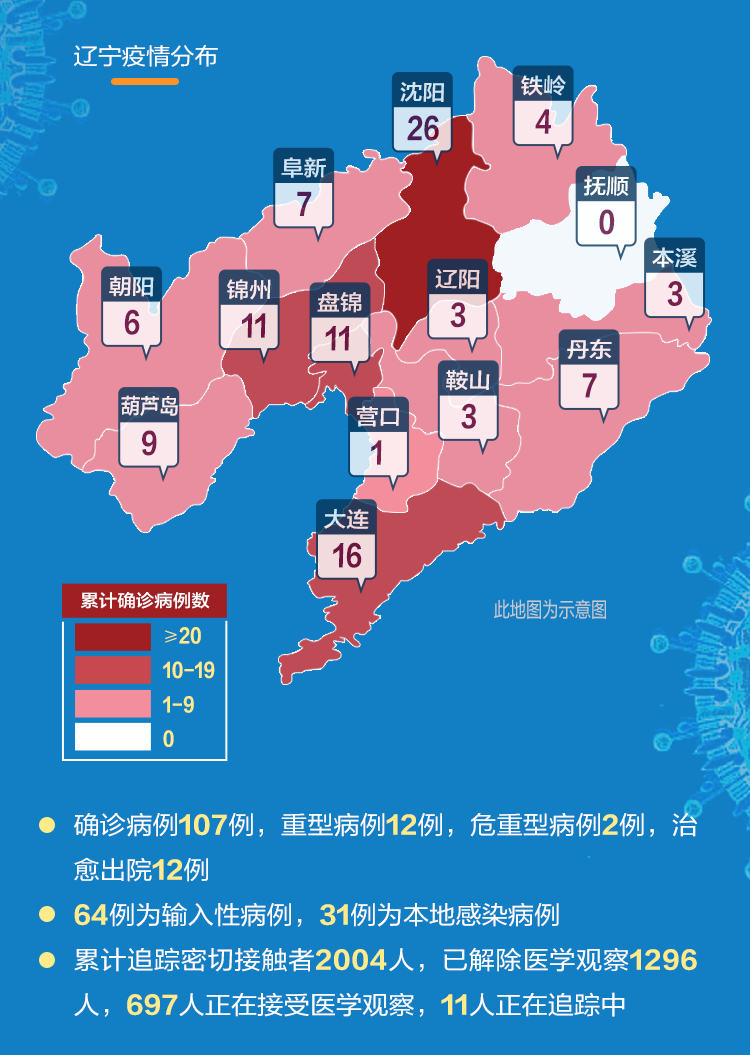 辽宁省最新疫情动态，小插曲中的温馨日常
