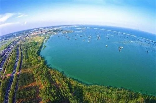 巢湖最新旅行资讯，探索自然美景，重觅内心宁静与平和之旅