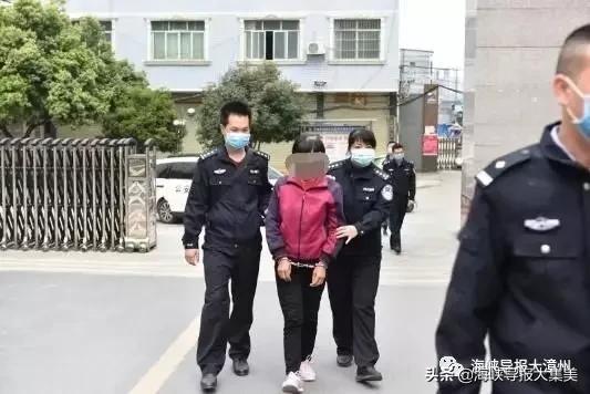 日本出境最新动态，探索自然美景，重拾心灵宁静与平和