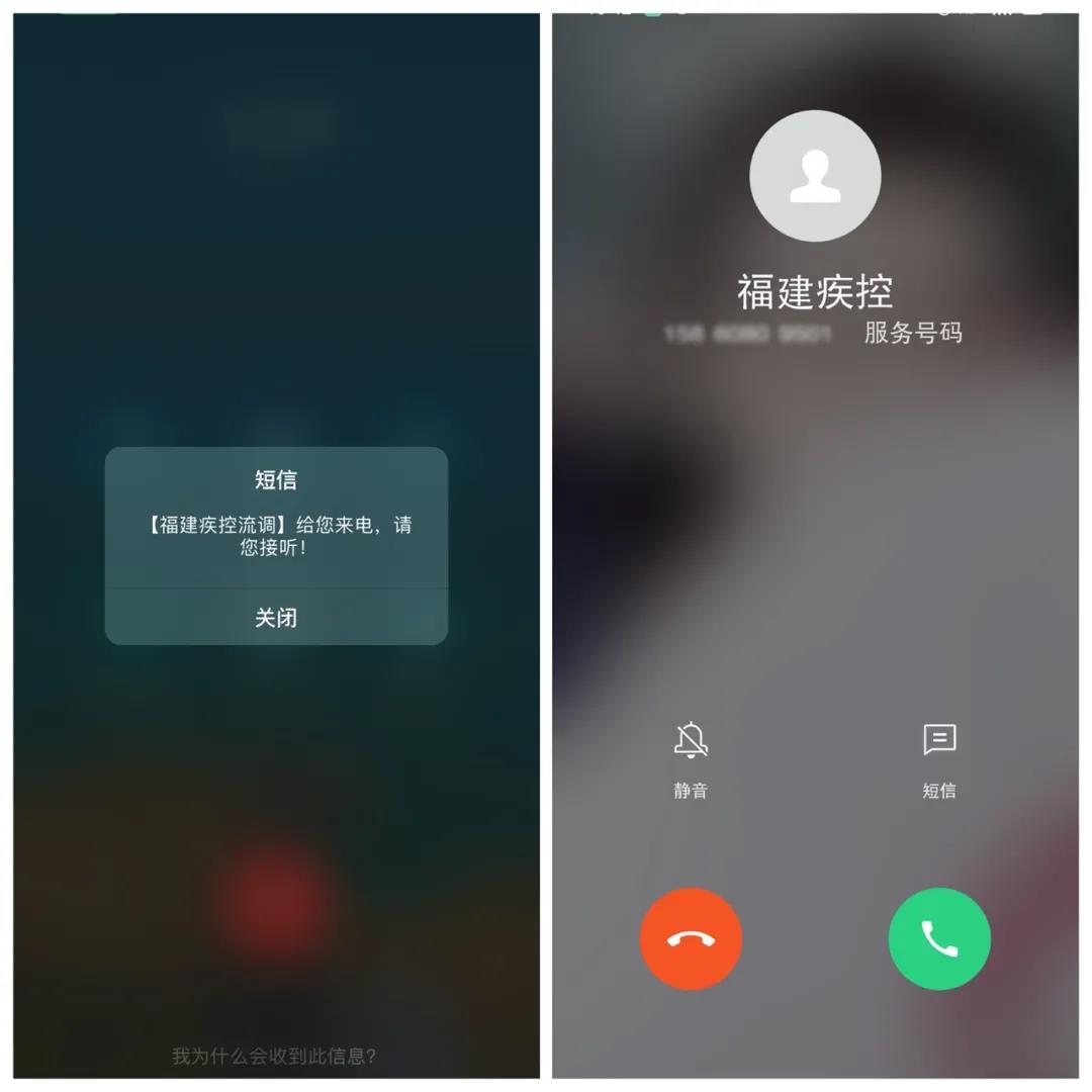 莆田最新车牌号段，自然美景的探索之旅