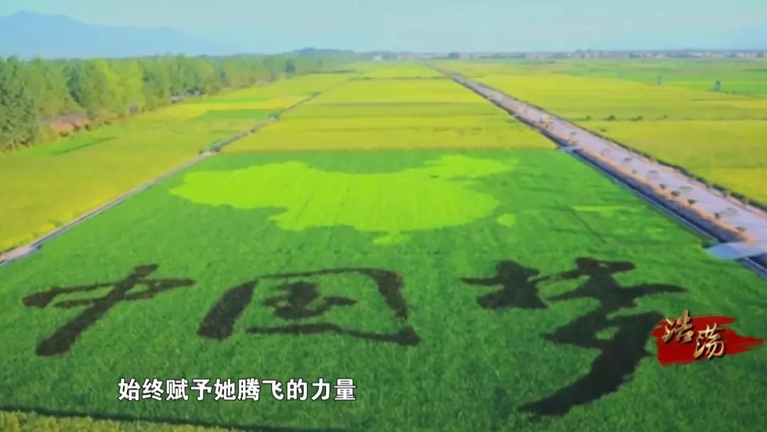 农业论坛最新地址探索自然美景，寻找内心平和之旅