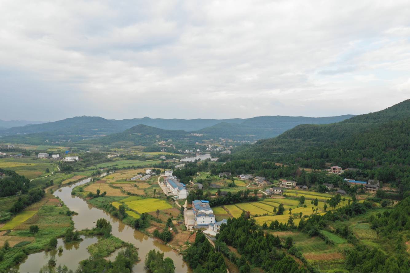 公兴镇最新租房信息，探索自然美景，寻找内心平静的居住之旅