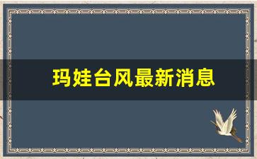 玛娃台风最新动态，多方观点分析与个人立场阐述