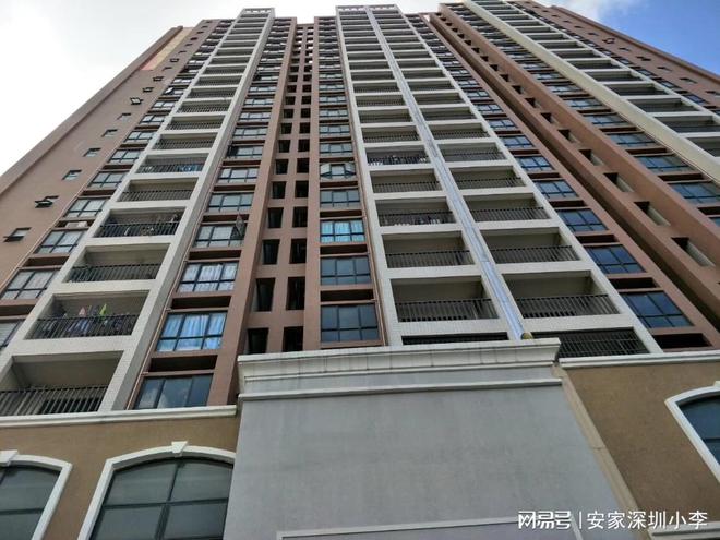 沙井最新小产权房，投资与居住的新选择热门指南