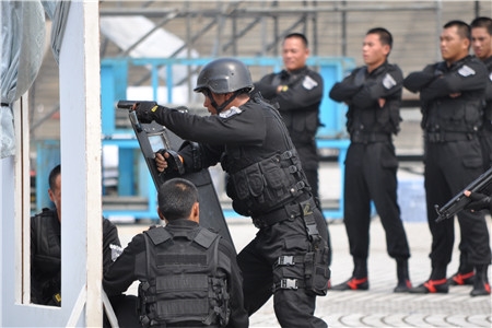 事业编警察最新动态，自然美景中的探索之旅