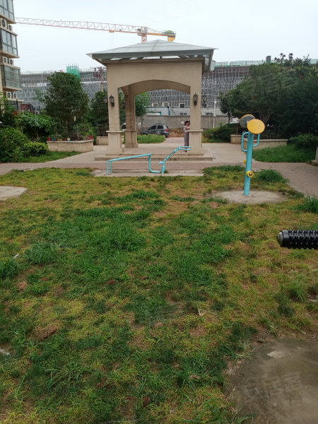 恒泰春天最新动态，拥抱自然，探寻内心宁静乐园