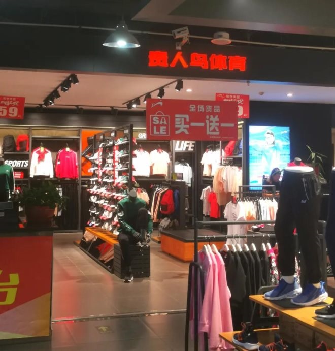 贵人鸟引领心灵之旅，探寻自然美景的最新动态