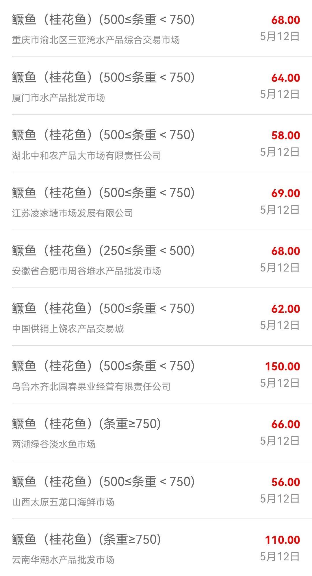 台湾泥鳅价格最新动态报告，最新行情解析